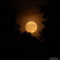 /album/gallery/imagem-da-lua1-copy-jpg/